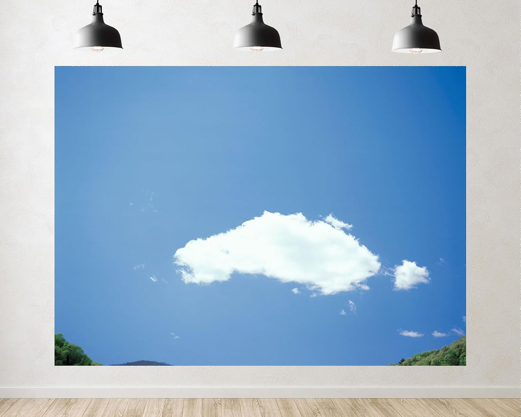 Trykid 20x10ft Blue Sky White Clouds Backdrop Clear Sky Clouds Photography Background Natural Scenery Newborn Wedding Birthday Party Decoration Studio Prop Fabric