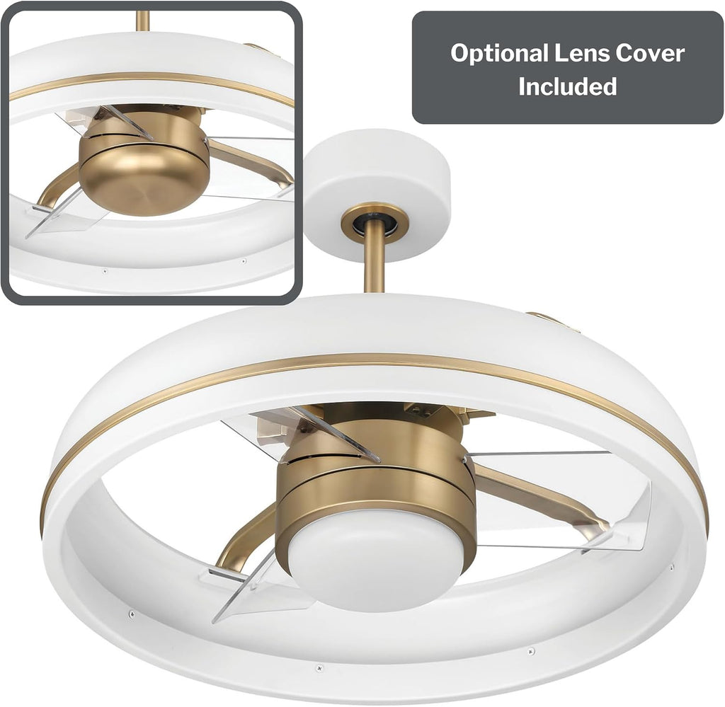 Craftmade TYL24WSB3-NWF Taylor 24 Inch 3 Blade Ceiling Fan | White and Satin Brass Finish with Clear Acrylic Blades | Integrated 1167 Lumens LED 3000K | Remote Included | DC Motor Indoor Fandelier