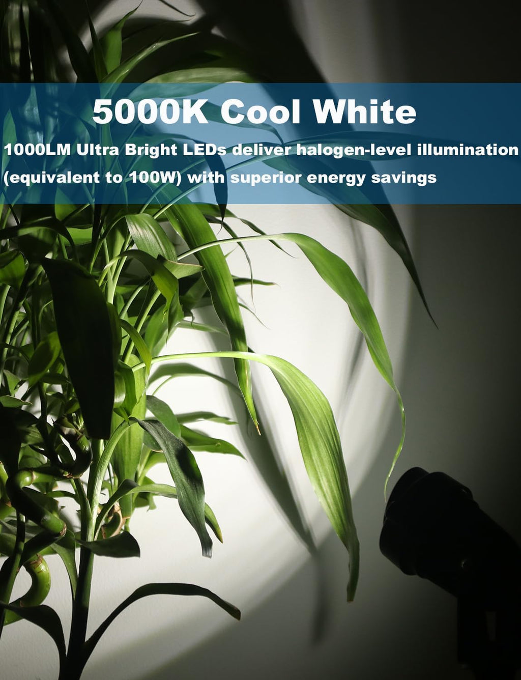 12W Landscape Lights Low Voltage LED Landscape Lighting Spotlight Waterproof Garden Pathway Christmas Decorative Lights Outdoor, 20 Pack with Connector (Cool White 5000K)