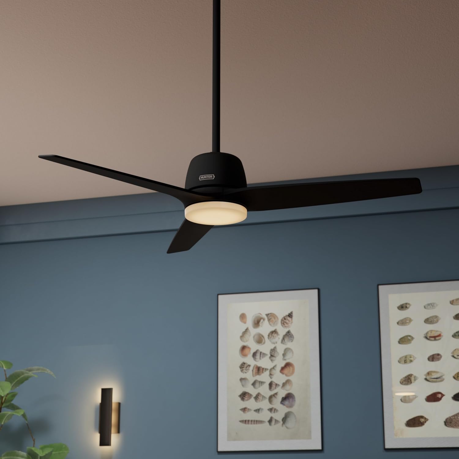 Hunter - Malden Indoor Ceiling Fan With Light, Remote, 52-inch, Casual-style, 3-speed WhisperWind Motor for living rooms, bedrooms, home offices, kitchens (Matte Black)