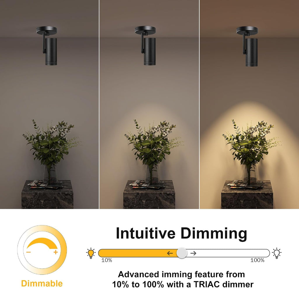 12W LED Dimmable Zoomable Ceiling Spotlight Indoor – Adjustable Surface Mount Accent Spot Light for Picture, Living Room, Plants & Artwork | Warm White 3000K CRI 97, Flicker-Free, Black 2 Packs