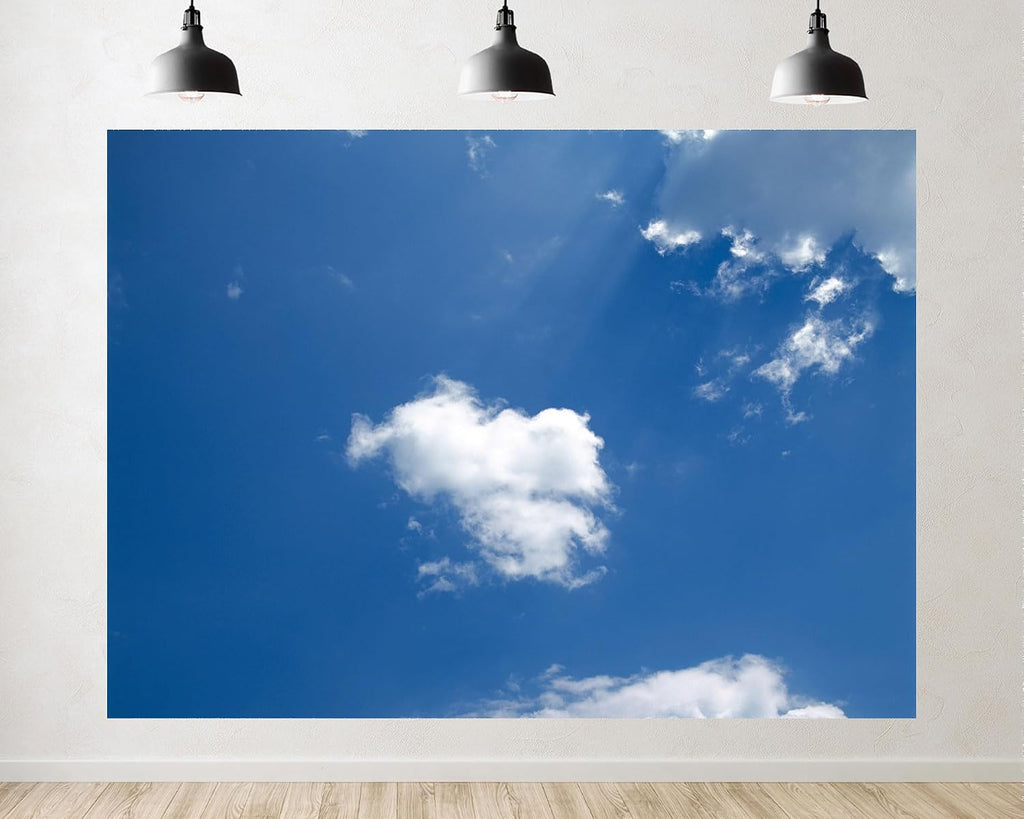 Trykid 20x10ft Blue Sky White Clouds Backdrop Natural Scenery for Newborn Photography Background Clear Sky Clouds Wedding Baby Shower Birthday Party Decoration Photo Studio Prop