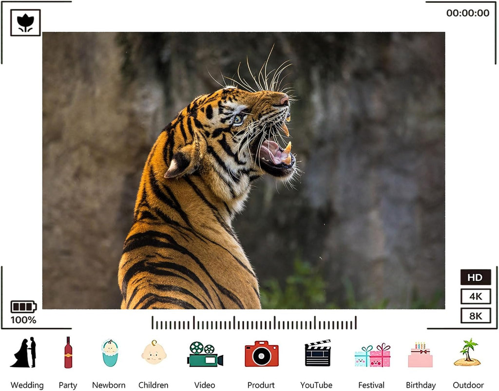 Trykid 20x10ft Tiger Striped Wildlife Backdrop Majestic Orange Black Fur Photography Background Safari Adventure Nature Party Decoration Tapestry Photo Booth Prop Fabric
