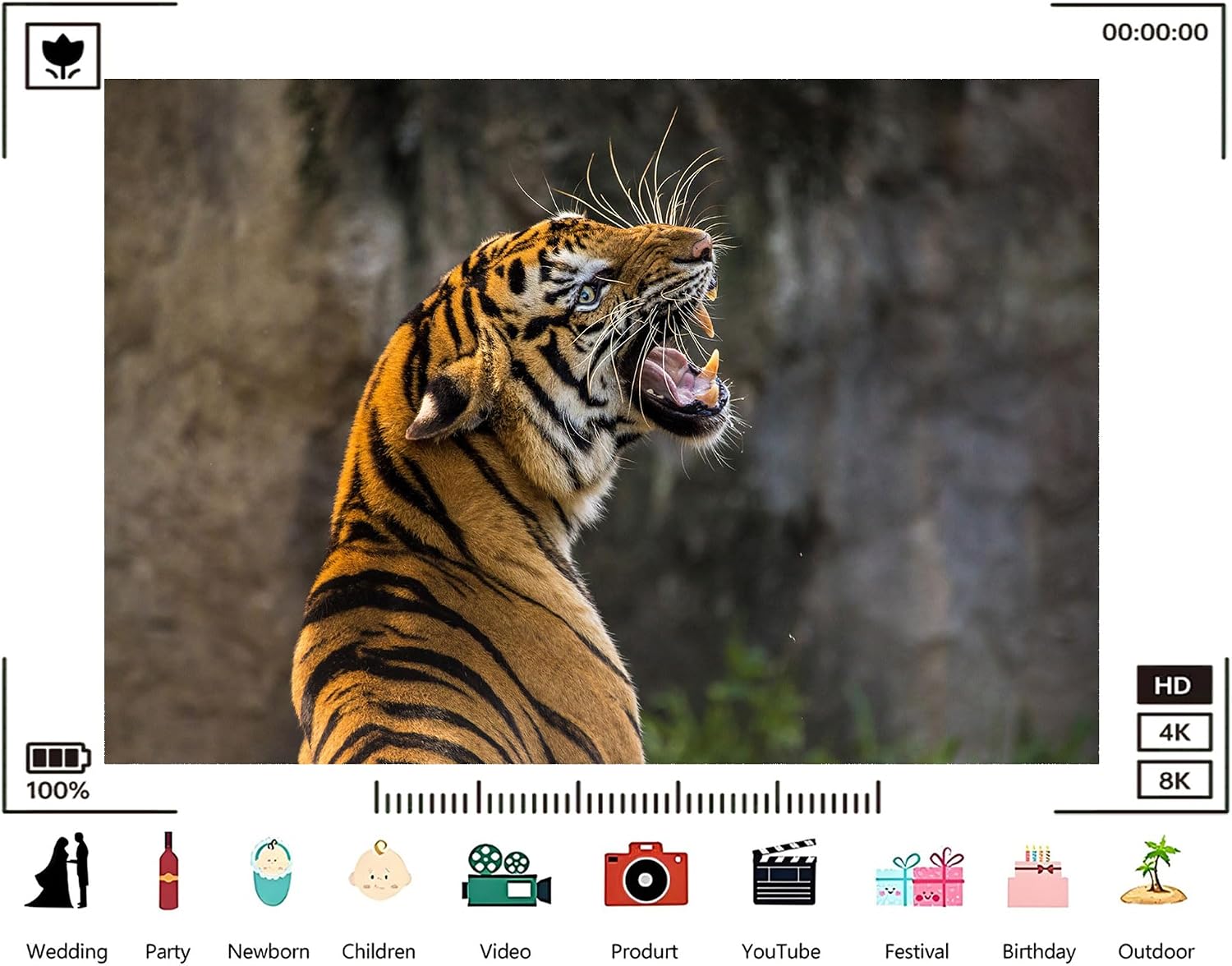 Trykid 20x10ft Tiger Striped Wildlife Backdrop Majestic Orange Black Fur Photography Background Safari Adventure Nature Party Decoration Tapestry Photo Booth Prop Fabric