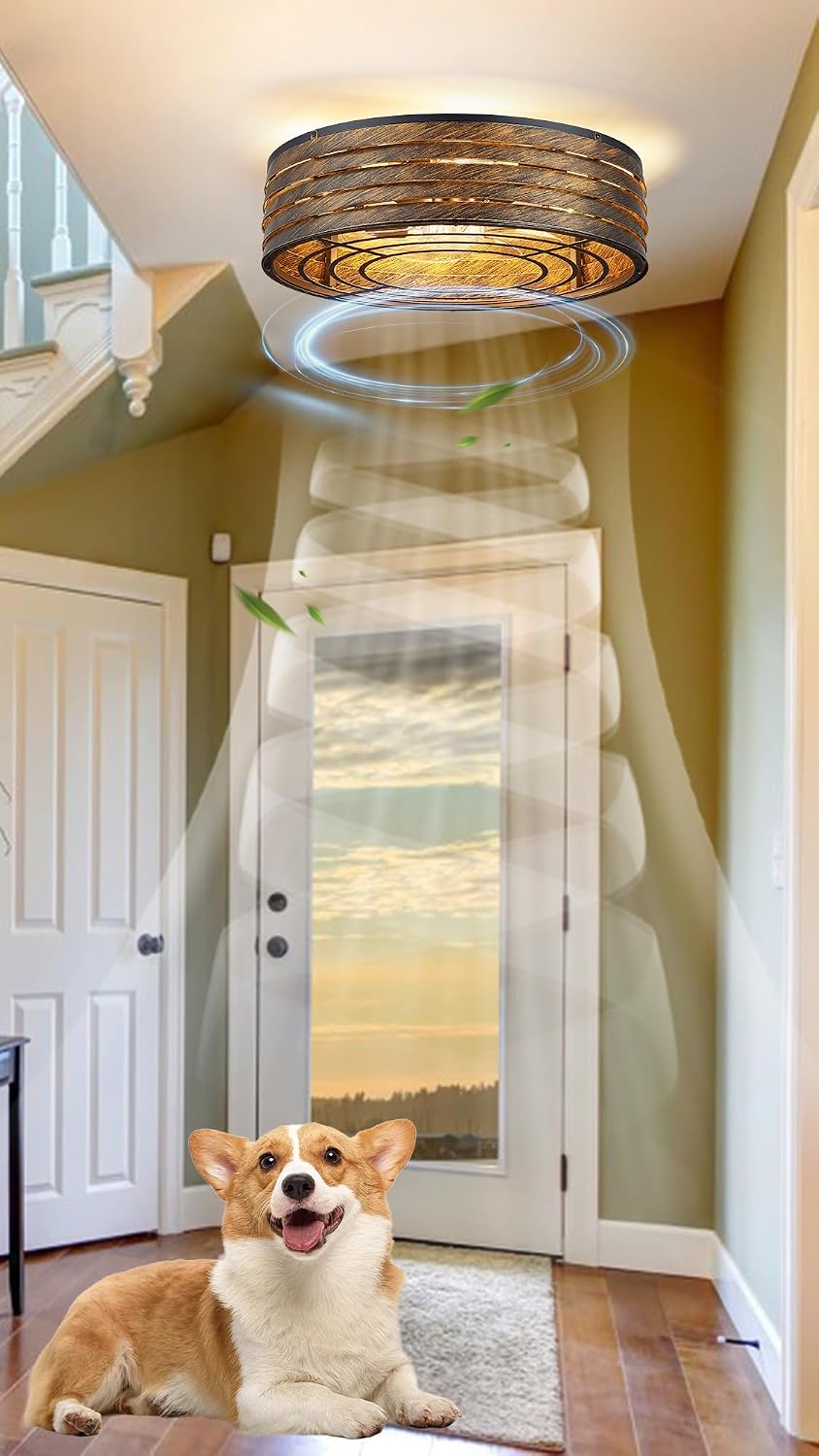 20'' Flush-Mount Smart Ceiling Fan with Dimmable-Light and Memory Remote APP/Alexa Control, Reversible-Motor, Perfect for Bedroom, Kitchen, Low-Profile Bronze Design Cage