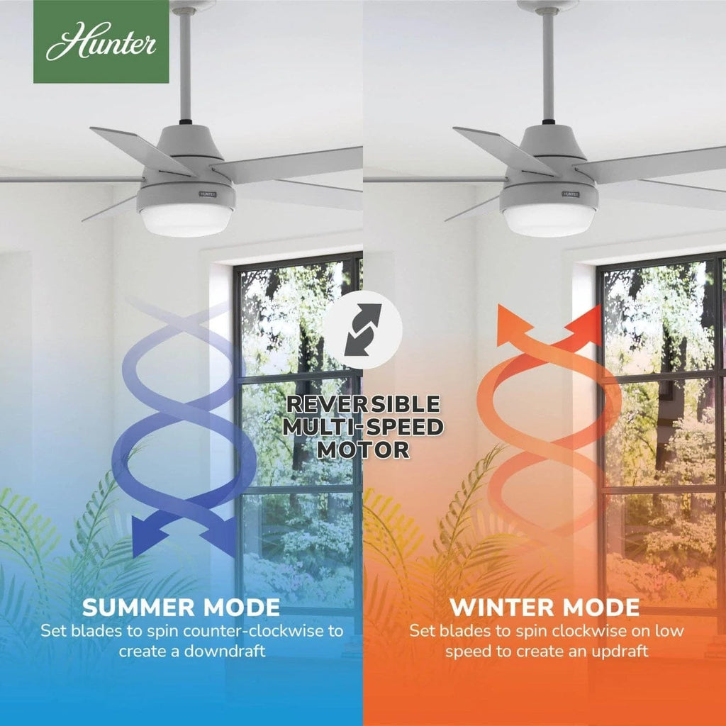 Hunter Fan 52 inch Indoor Ceiling Fan with Lights and Remote, Grey Ceiling Fan with 5 Blades for Bedroom, Living Room, Office, Kitchen (Renewed)