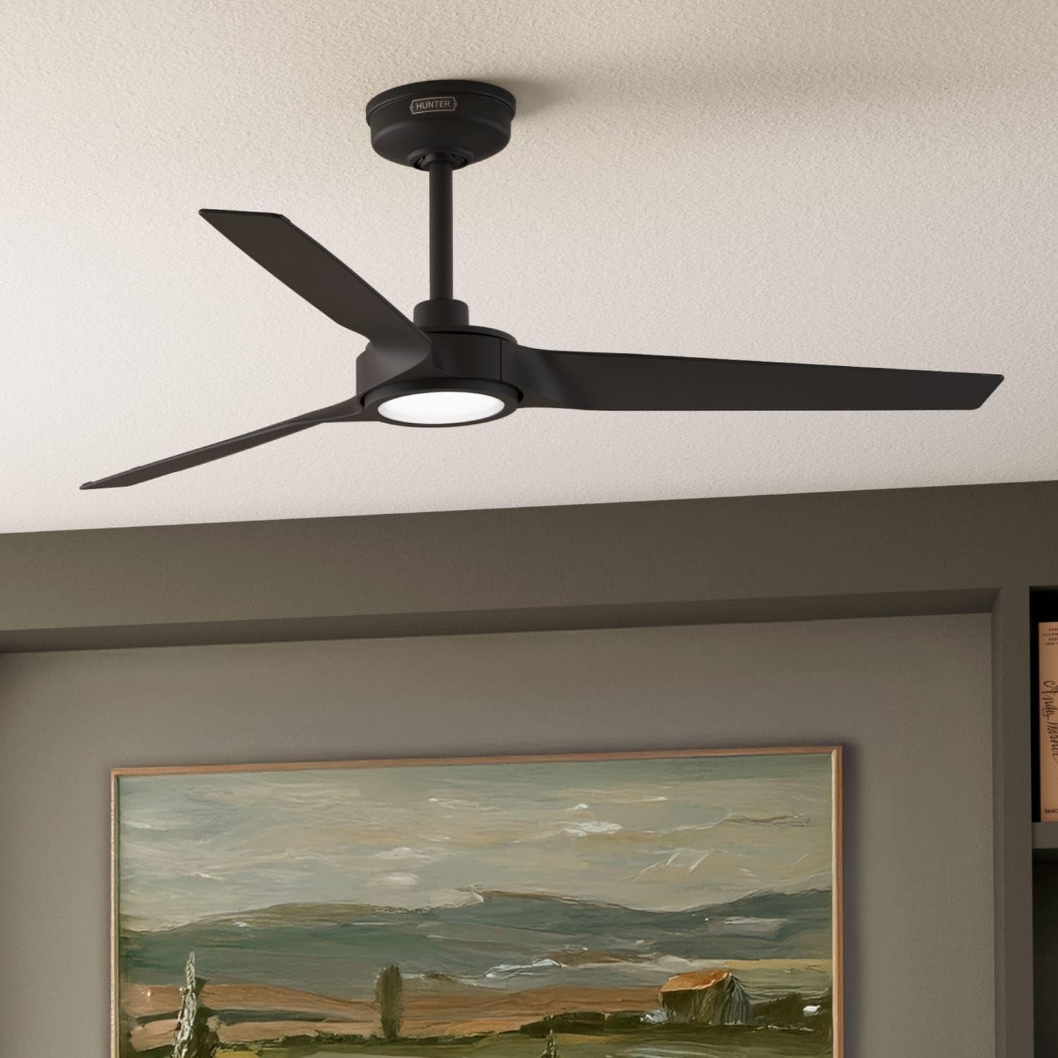 Hunter Fan Outdoor or Indoor Ceiling Fan, 52 in White Ceiling Fan with Light and Remote for Patios, Living Room, Bedroom, Porch, Garage, 3 Blades (Renewed) (Matte Black)