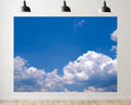 Trykid 20x10ft Blue Sky White Clouds Backdrop Clear Sky Clouds Natural Scenery Photography Background Newborn Baptism Baby Shower Wedding Birthday Party Decoration Studio Fabric