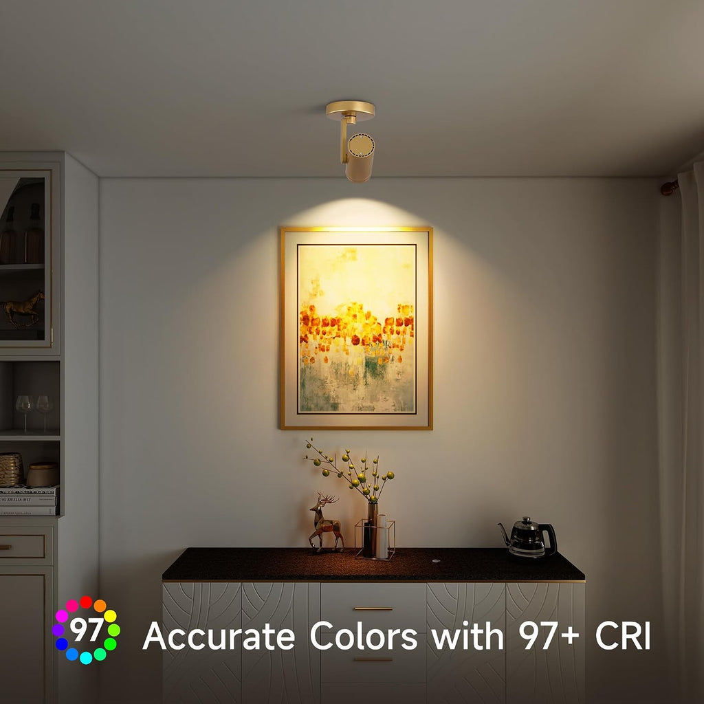 12W LED Gold Dimmable Zoomable Ceiling Spotlight Indoor – Adjustable Surface Mount Accent Light for Corridor, Living Room, Plants & Painting | Warm White 3000K CRI 97, Flicker-Free, 4 Packs