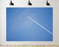 Trykid 20x10ft Blue Sky White Clouds Backdrop Natural Scenery Backdrop Clear Sky Clouds Photography Background Newborn Baby Shower Wedding Birthday Party Decoration Photo Prop