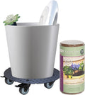 Indoor Gardening Essentials Kit – Dallas Esprit 11' Dia Ceramic Pot, Rolling Caddy, Stainless Trowel, Coir Discs & Moisture Meter