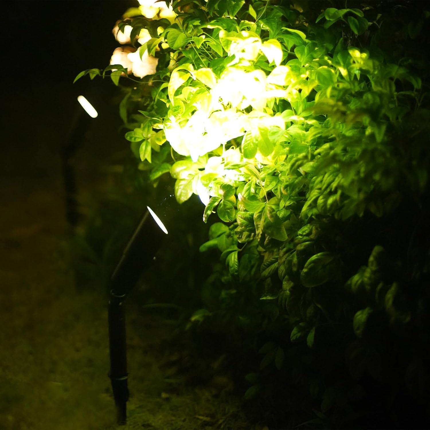 GOODSMANN Low Voltage Landscape Spotlights 20W 8PK Halogen Spot Lights 12V AC 176 Lumen Outdoor Landscape Lighting Kit with Connector and Metal Stake 3000K Warm White for Garden, Lawn, Walkway