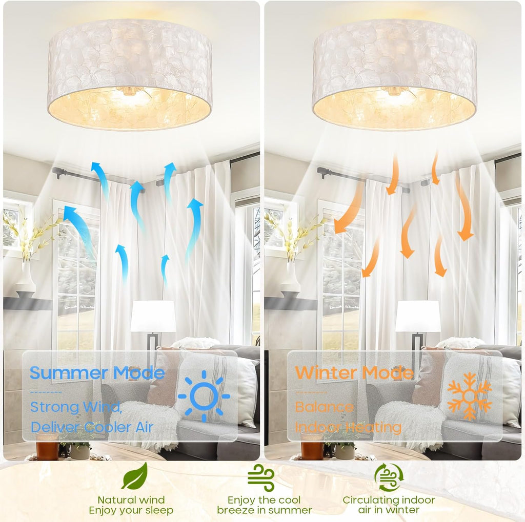 Boho Coastal Ceiling Fan with Lights and Remote, Enclosed Caged Design with Shell Lampshade — Fandelier for Bedroom, Nursery, Foyer, Kitchen (6 Speeds)
