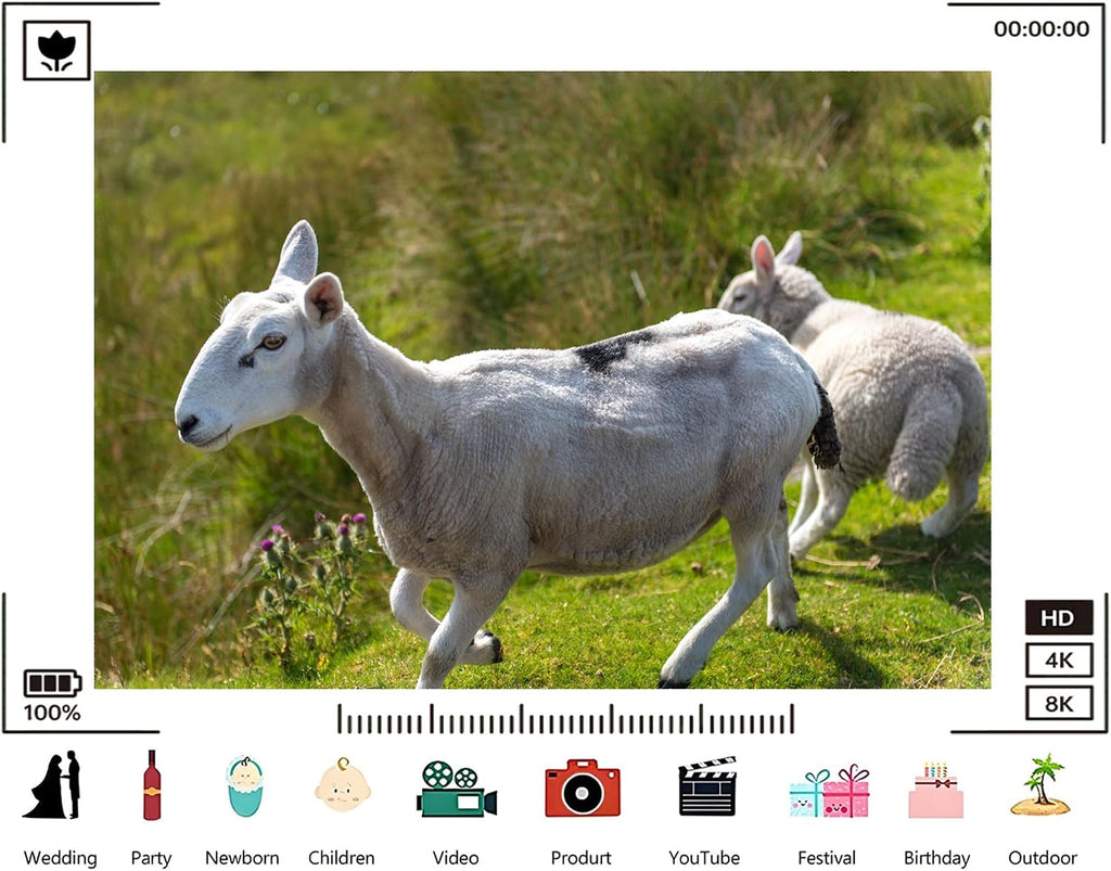 Trykid 20x10ft Spotted White Sheep Backdrop Lamb Companion Wild Grassland Rural Scene Photography Background Countryside Pastoral Life Party Decoration Tapestry Photo Booth Prop Fabric