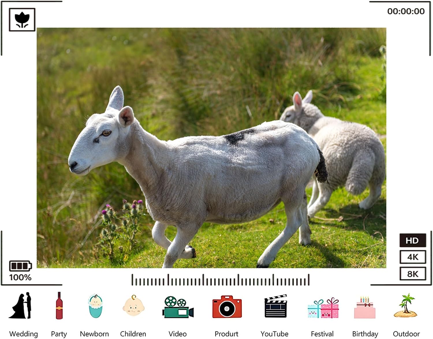 Trykid 20x10ft Spotted White Sheep Backdrop Lamb Companion Wild Grassland Rural Scene Photography Background Countryside Pastoral Life Party Decoration Tapestry Photo Booth Prop Fabric