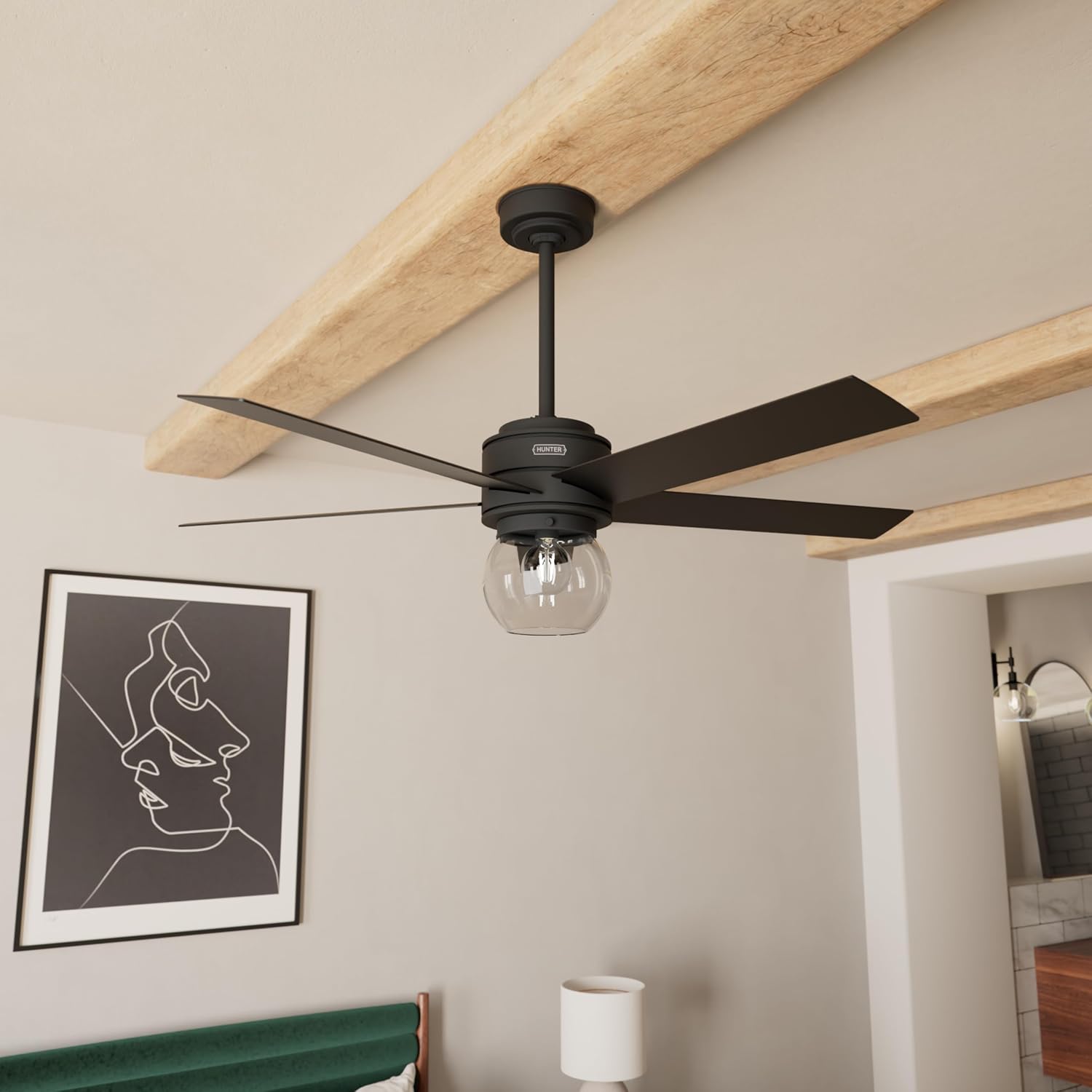 Hunter Xidane Ceiling Fan with LED Lights & Remote (Matte Black)