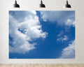 Trykid 20x10ft Blue Sky White Clouds Backdrop Clear Sky Clouds Natural Scenery Photography Background Newborn Baby Shower Wedding Birthday Party Decoration Photo Studio Prop Fabric