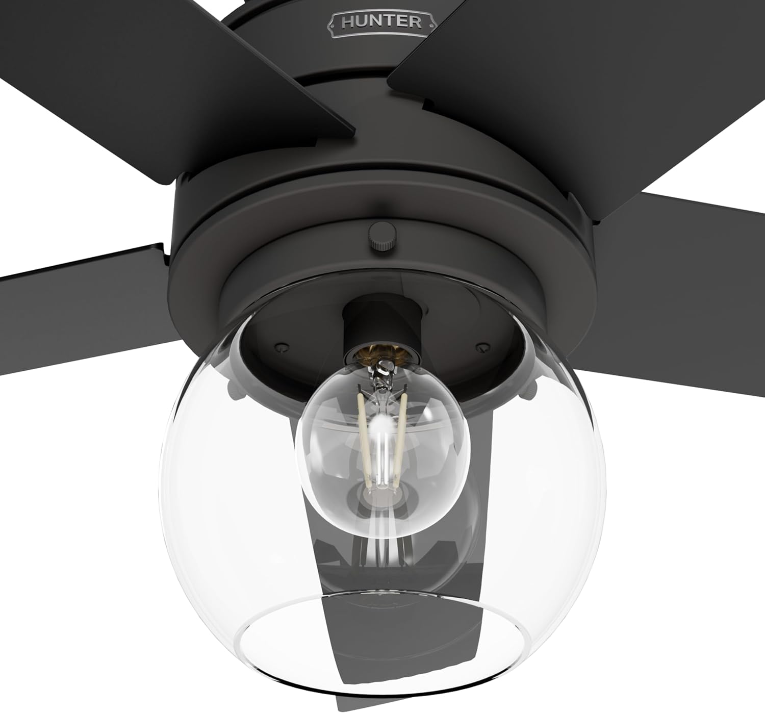 Hunter Xidane Ceiling Fan with LED Lights & Remote (Matte Black)