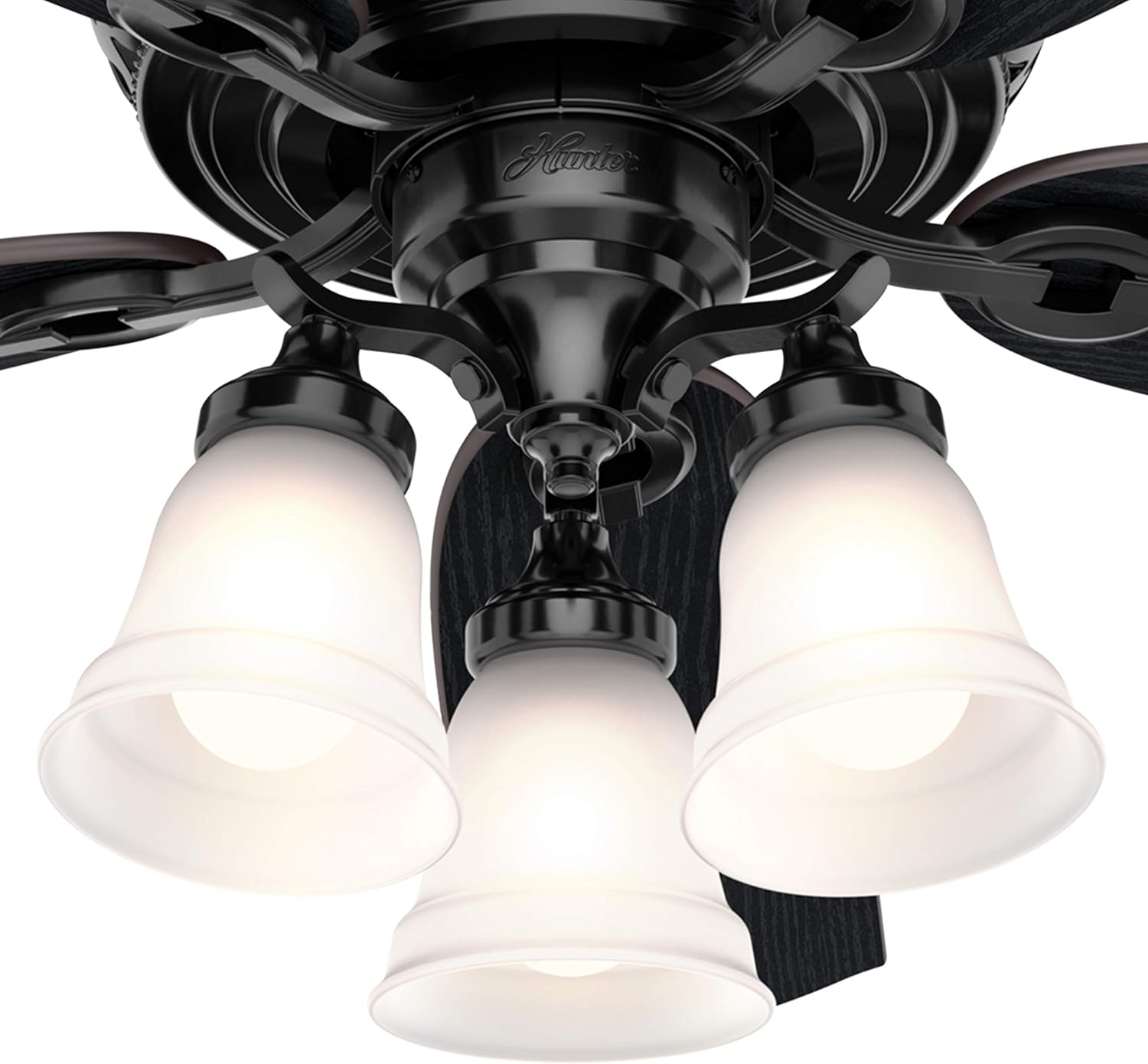Hunter Fan 54 inch Traditional Glossy Black Indoor Ceiling Fan with LED Light and Remote Control (Renewed)