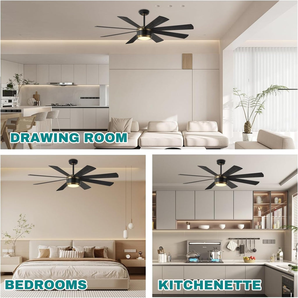 SHOWDI Ceiling Fans with Lights and Remote, Black Gold 60 in | 2 Blade Color, Metal Material, App Remote Control, Timer, Reversible, 3CCT, Dimmable for Bedroom, Living room, Indoor