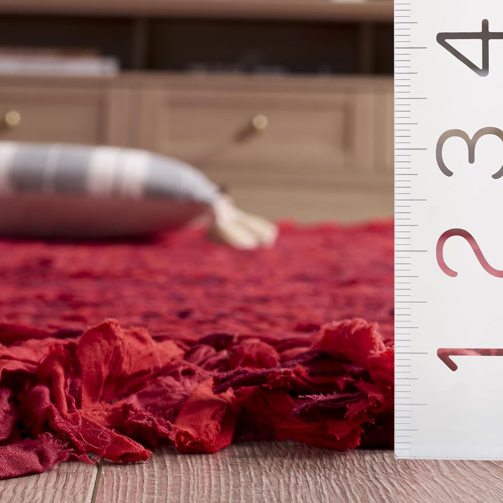 SAFAVIEH Braided Collection Oval Rug - 5' x 8' Oval, Red & Multicolored, Casual Design, Ideal for High Traffic Areas in Kitchen, Bedroom & Home Office (BRD451Q-5OV)