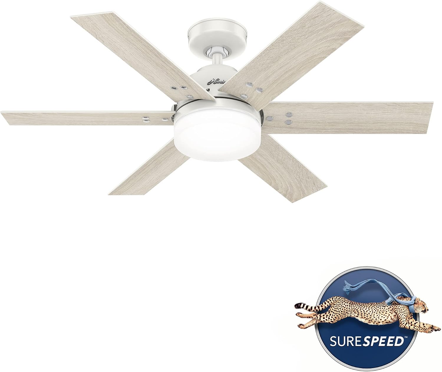 Hunter 44 inch Indoor Ceiling Fan with LED Light and Remote Control - White Ceiling Fan, Standard Mount, 6 Blades, For Bedroom, Living Room, or Kitchen, Quiet - Pacer 51205, Fresh White