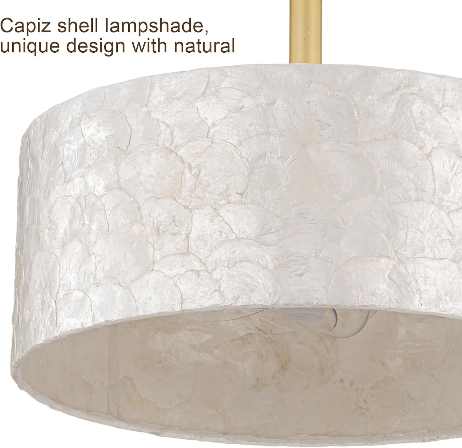 Boho Chandelier Ceiling Fan, Capiz Shell Fandelier Ceiling Fan with Light and Remote Control, Coastal Caged Ceiling Fan for Bedroom,Living Room,Nursery,Foyer(6 Speed, Timing,Adjustable Height)