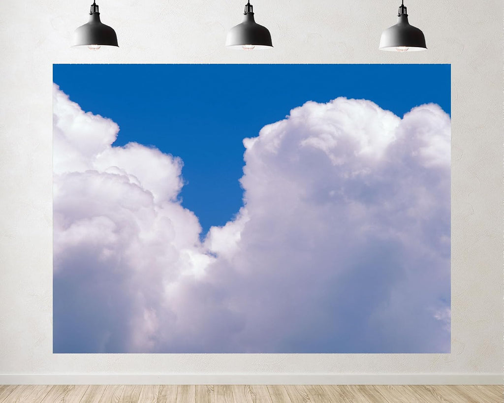 Trykid 20x10ft Blue Sky White Clouds Backdrop Clear Sky Clouds Natural Scenery Birthday Party Decoration Photography Background Newborn Wedding Photo Studio Prop Fabric