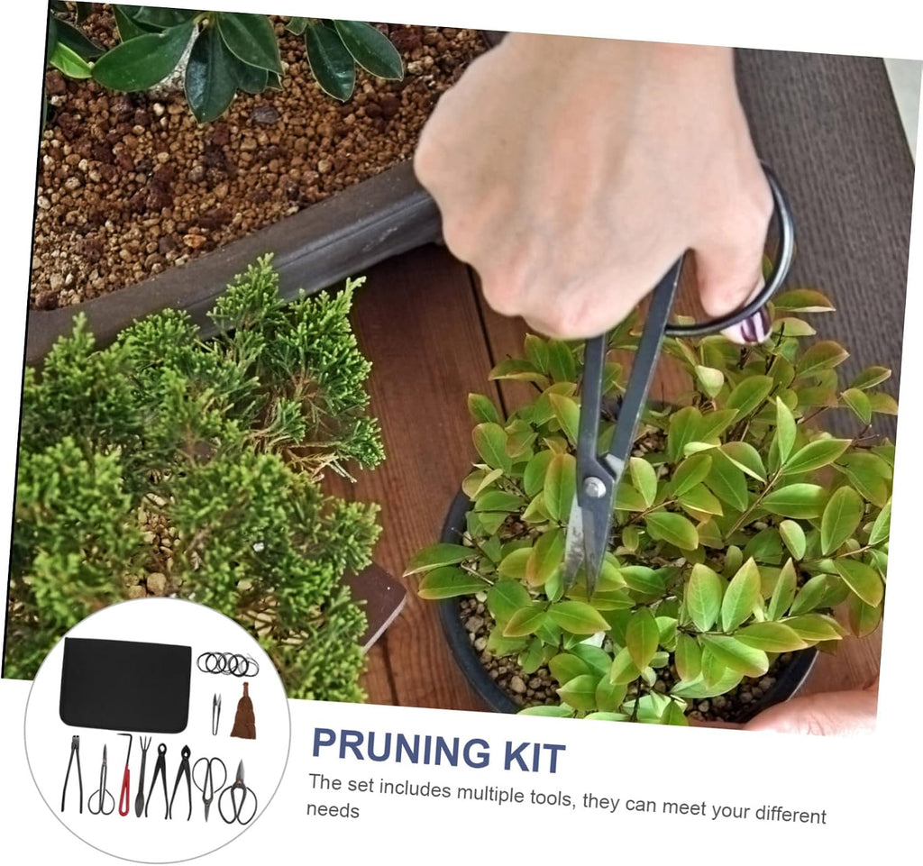 1Set Garden Pruning Shears Gardening Trimming Tool for Efficient Plant Branch Cutting Durable Sharp Blades for Use Essential Gardening Hand