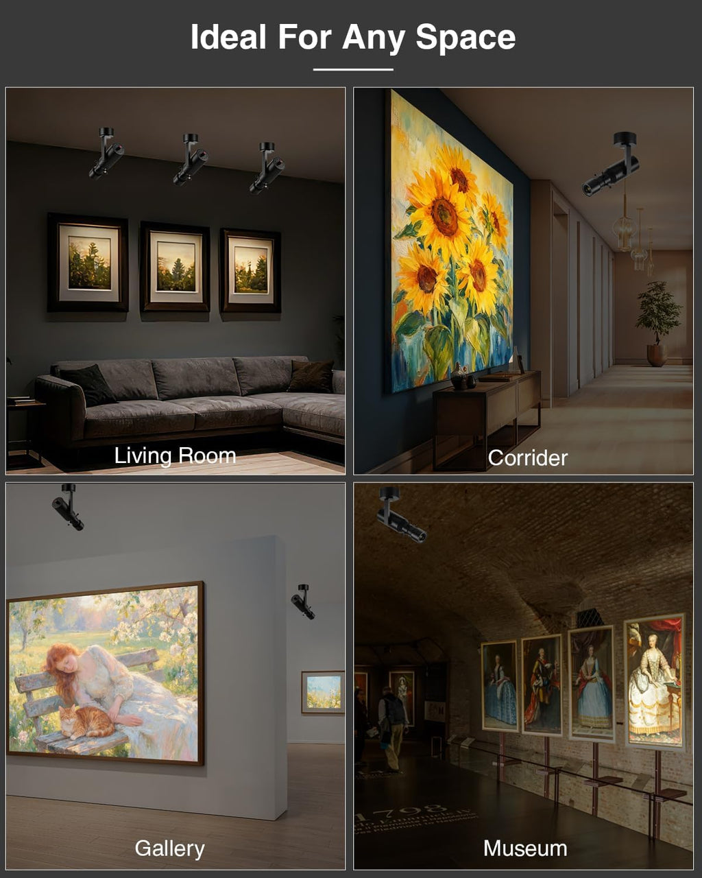 18W LED Picture Light, LED Adjustable Spotlight with Knob Dimming, CRI≥97 Surface-Mounted Ceiling Light, 2700K Modern Spot Light for Museum, Galleries, Retail Stores, and Living Rooms