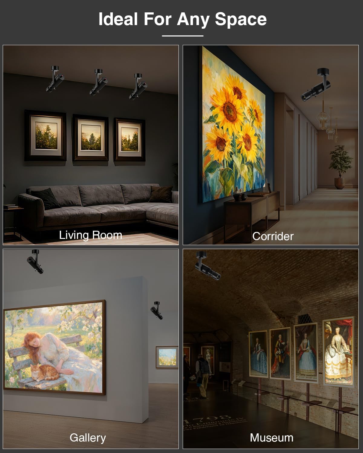 18W LED Picture Light, LED Adjustable Spotlight with Knob Dimming, CRI≥97 Surface-Mounted Ceiling Light, 2700K Modern Spot Light for Museum, Galleries, Retail Stores, and Living Rooms