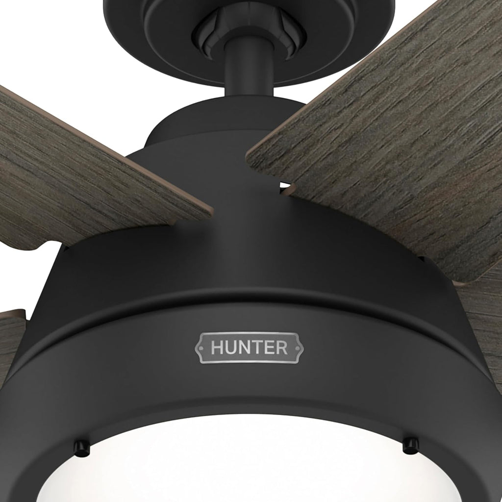 Hunter Fan 52 Inch Matte Black Indoor Ceiling Fan with LED Light and Remote Control for Bedroom, Living Room/Family Room, Office, Basement, Kitchen, Dining Room (Renewed)