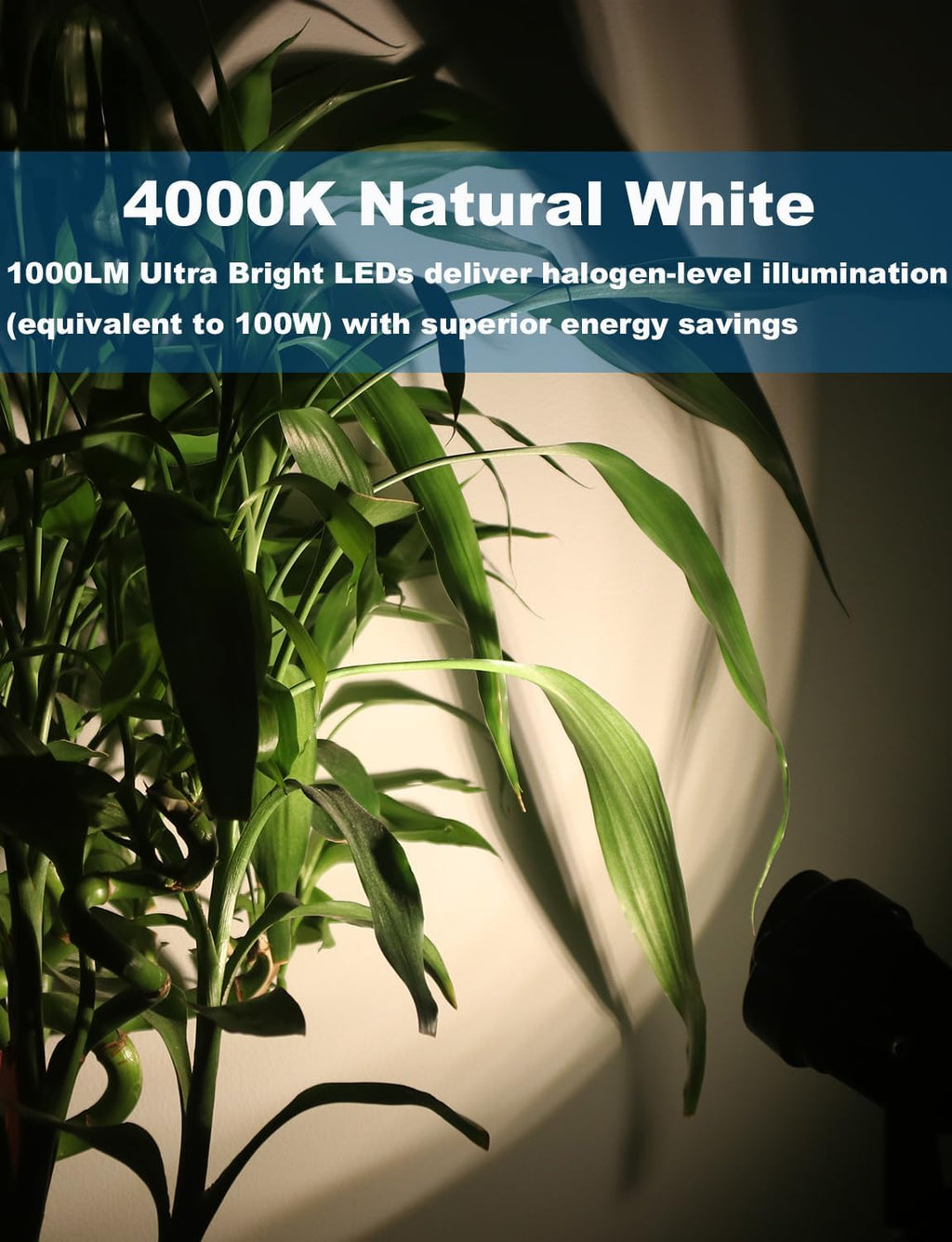 12W Landscape Lights Low Voltage LED Landscape Lighting Spotlight Waterproof Garden Pathway Christmas Decorative Lights Outdoor, 20 Pack with Connector (Natural White)