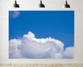 Trykid 20x10ft Blue Sky White Clouds Backdrop Clear Sky Clouds Natural Scenery Photography Background Newborn Celebration Baby Shower Wedding Party Birthday Party Decoration Studio Prop
