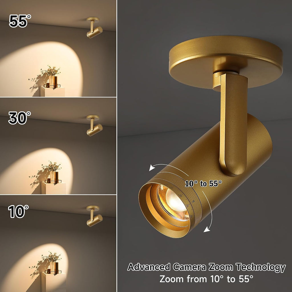 12W LED Gold Dimmable Zoomable Ceiling Spotlight Indoor – Adjustable Surface Mount Accent Light for Corridor, Living Room, Plants & Painting | Warm White 3000K CRI 97, Flicker-Free, 2 Packs