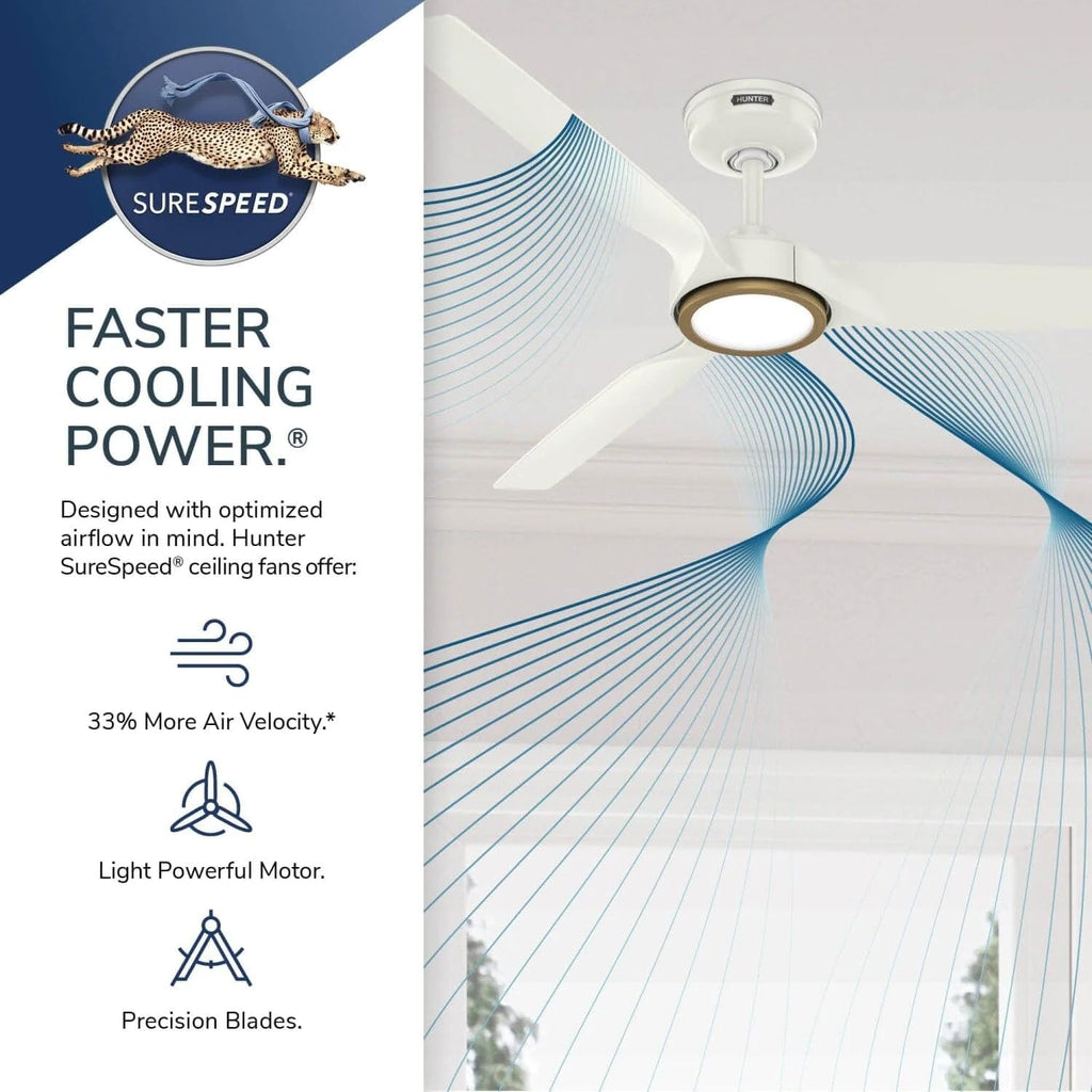Hunter Fan Outdoor or Indoor Ceiling Fan, 52 in White Ceiling Fan with Light and Remote for Patios, Living Room, Bedroom, Porch, Garage, 3 Blades (Renewed)