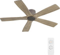 WINGBO 48' Flush Mount DC Ceiling Fans without Lights, 5 Carved Solid Wood Blades, 6-Speed Reversible DC Motor, Low Profile Hugger Ceiling Fan No Light for Living Room Bedroom Patio, Graphite and Gray