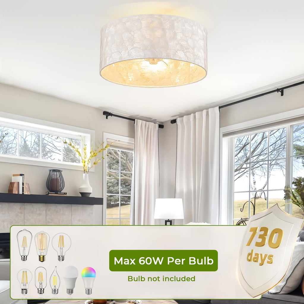 Boho Coastal Ceiling Fan with Lights and Remote, Enclosed Caged Design with Shell Lampshade — Fandelier for Bedroom, Nursery, Foyer, Kitchen (6 Speeds)