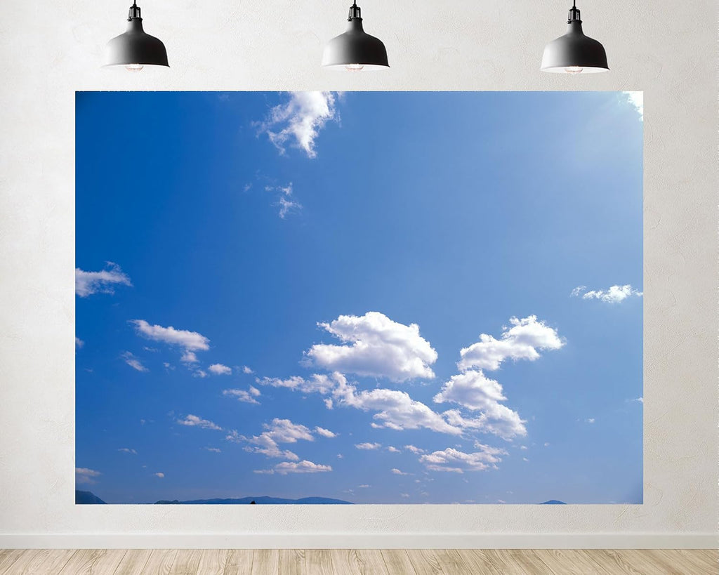 Trykid 20x10ft Blue Sky White Clouds Backdrop Clear Sky Clouds Natural Scenery Photography Background for Newborn Baby Shower Wedding Birthday Party Decoration Studio Prop