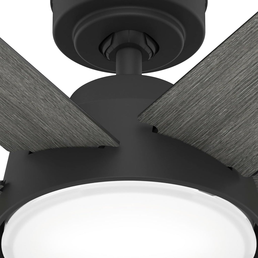 Hunter Fan 52 Inch Casual Matte Black Finish Indoor Ceiling Fan With LED Light Kit and Remote Control (Renewed)