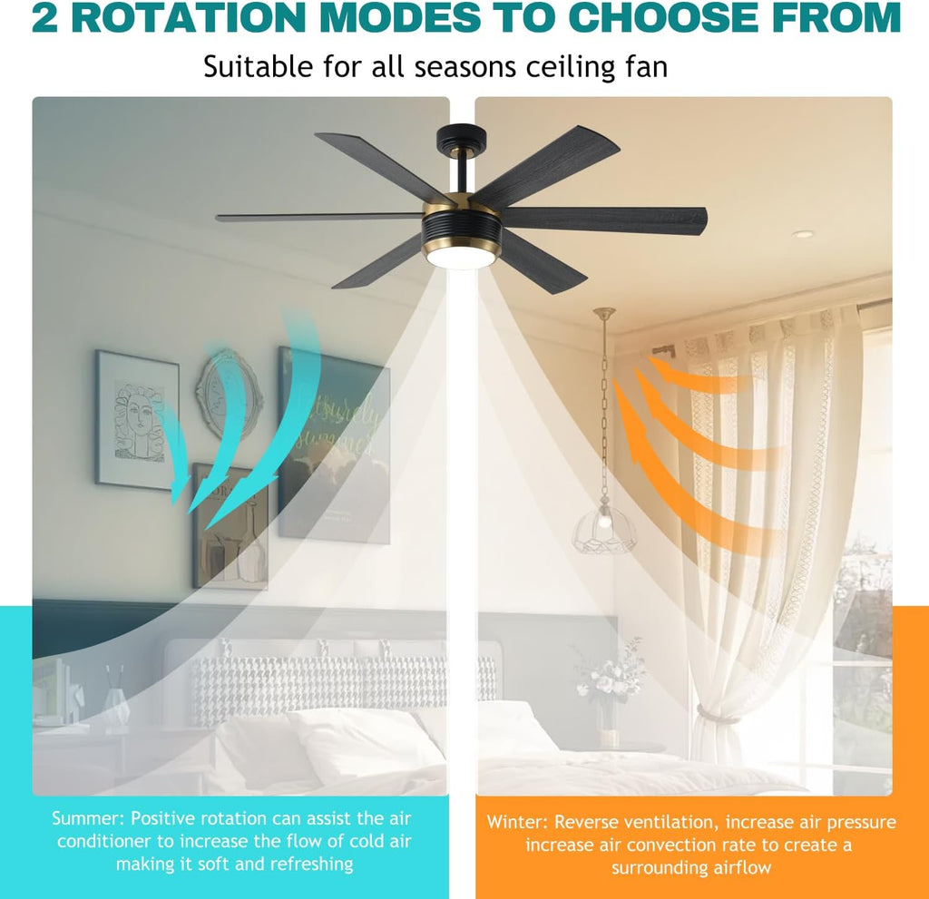 SHOWDI Ceiling Fans with Lights and Remote, Black-Gold, 56 in | 2 Blade Color, Metal Material, App Remote Control, Timer, Reversible, 3CCT, Dimmable for Bedroom, Living room, Indoor