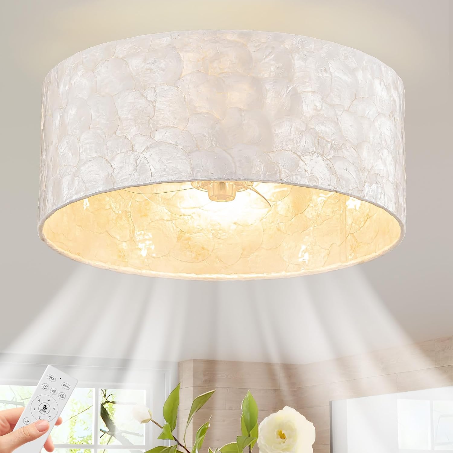 Boho Coastal Ceiling Fan with Lights and Remote, Enclosed Caged Design with Shell Lampshade — Fandelier for Bedroom, Nursery, Foyer, Kitchen (6 Speeds)