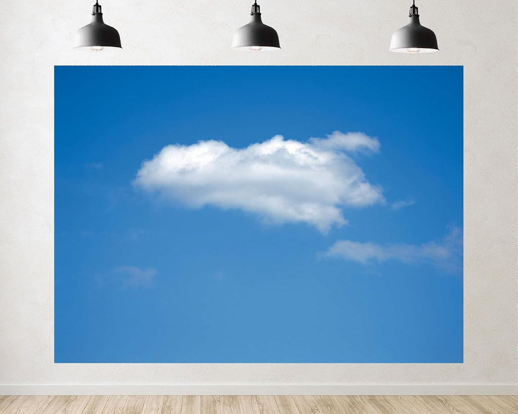 Trykid 20x10ft Blue Sky White Clouds Backdrop Natural Scenery Clear Sky Clouds Photography Background Newborn Wedding Birthday Party Decoration Studio Prop Fabric