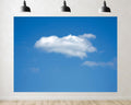 Trykid 20x10ft Blue Sky White Clouds Backdrop Natural Scenery Clear Sky Clouds Photography Background Newborn Wedding Birthday Party Decoration Studio Prop Fabric