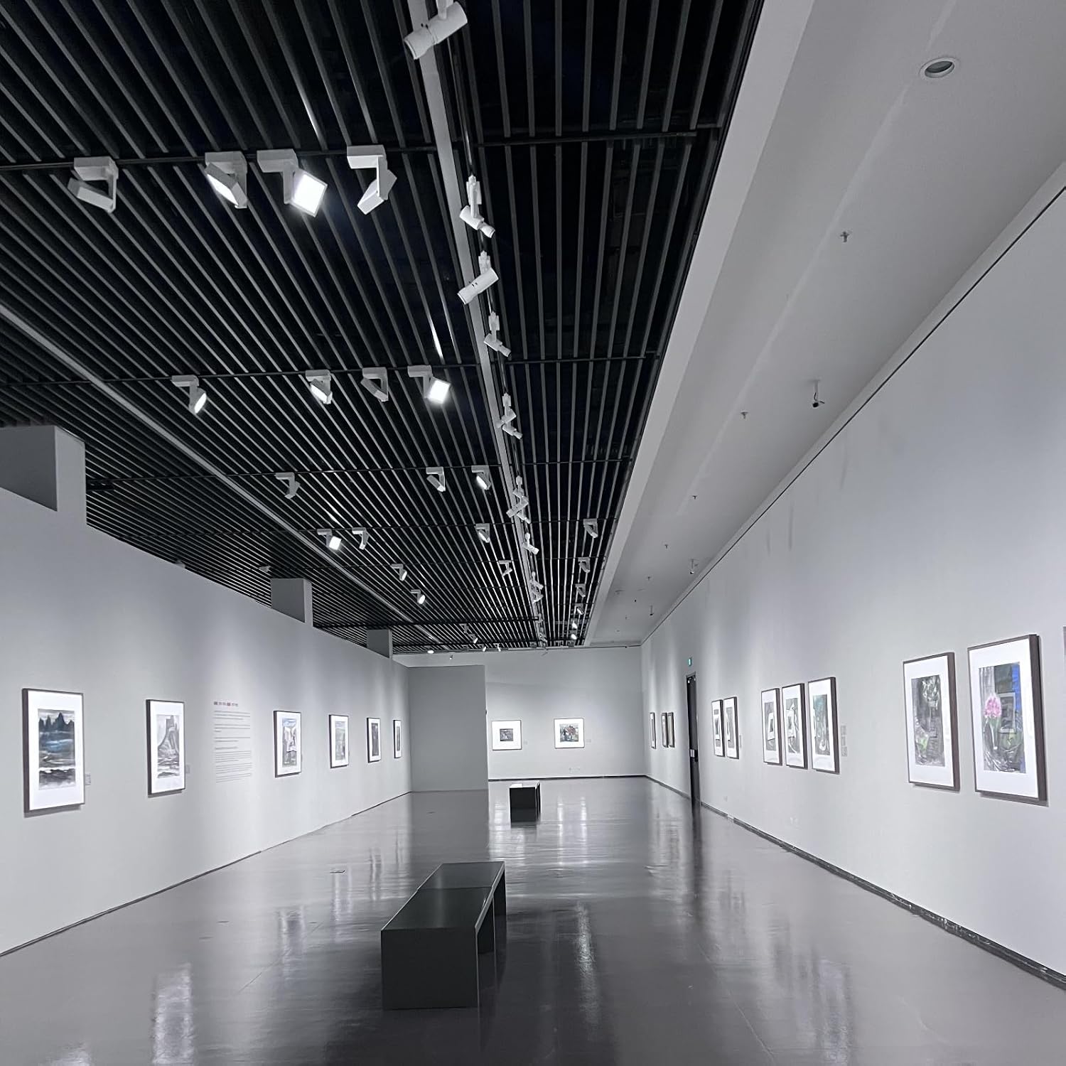 10W LED Picture Light,Adjustable Brightness and Color Temperature with TUYA APP,Led Framing Projector Spot Lighting for Artwork Display Art Gallery Exhibit Photo Wall Sculpture Oil Painting