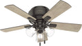 Hunter Fan 42 inch Noble Bronze Low Profile Indoor Ceiling fan with Clear Rippled Glass Light Kit and LED Bulbs (Renewed)