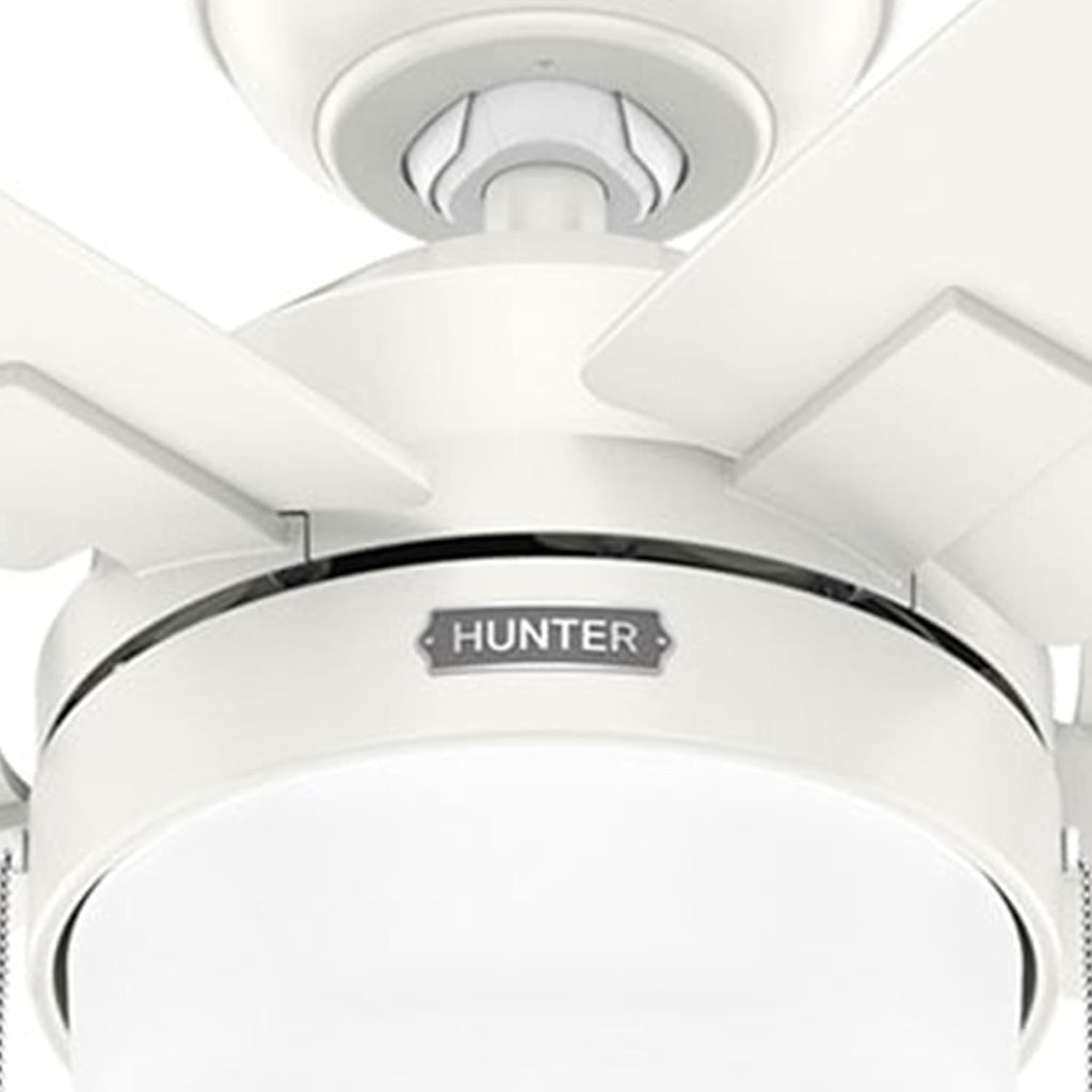 Hunter Fan 44 inch Fresh White Indoor Ceiling Fan with Light and Pull Chain for Bedroom, Living Room, Office, Basement, Kitchen (Renewed)