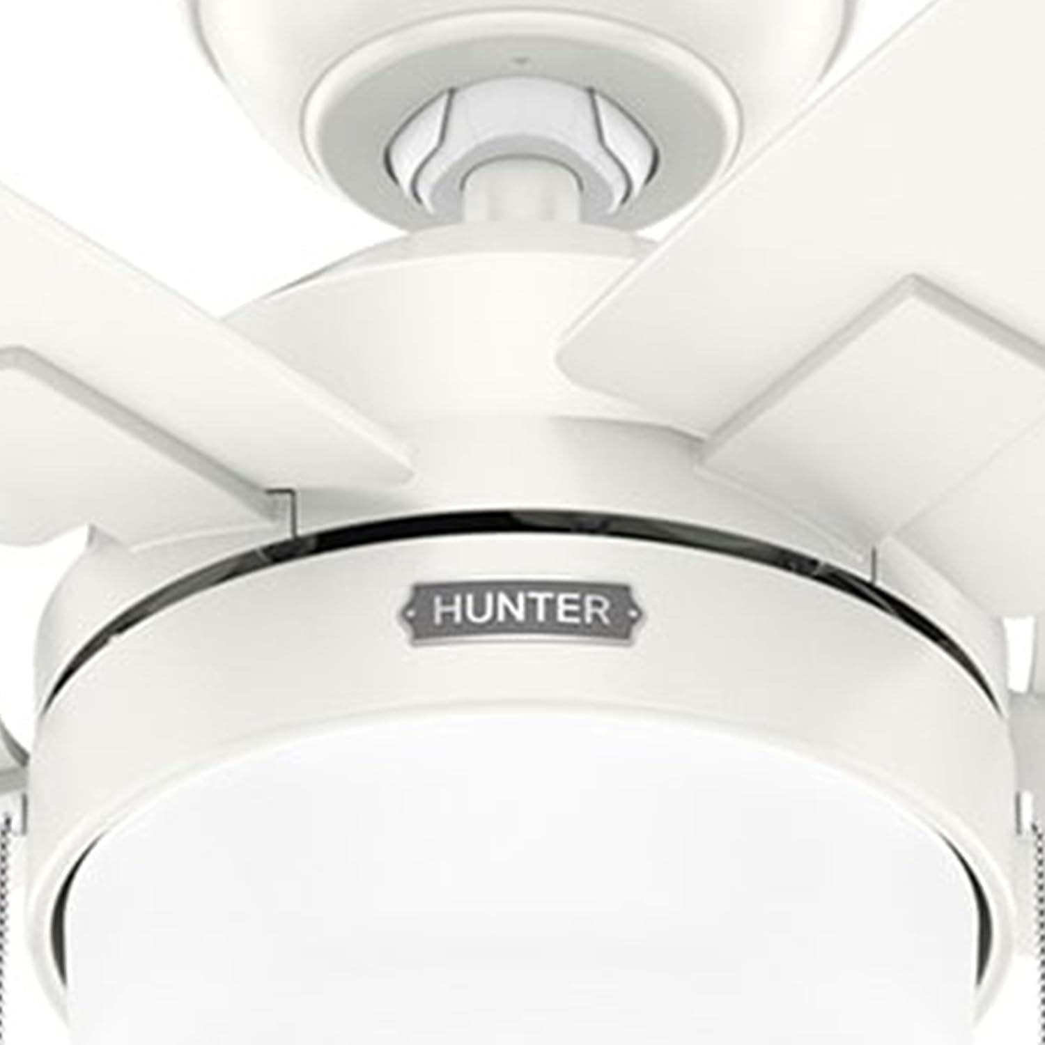 Hunter Fan 44 inch Fresh White Indoor Ceiling Fan with Light and Pull Chain for Bedroom, Living Room, Office, Basement, Kitchen (Renewed)