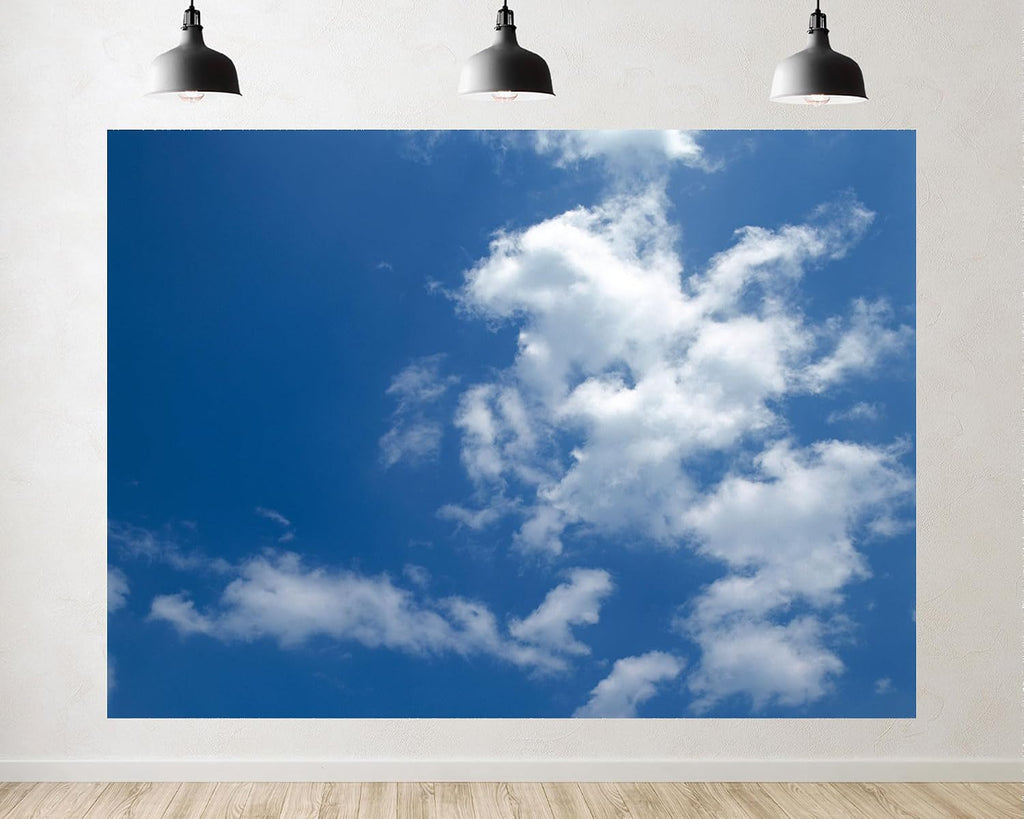 Trykid 20x10ft Blue Sky White Clouds Backdrop Bright Clear Sky Clouds Natural Scenery Photography Background Newborn Baby Shower Wedding Birthday Party Decoration Fabric