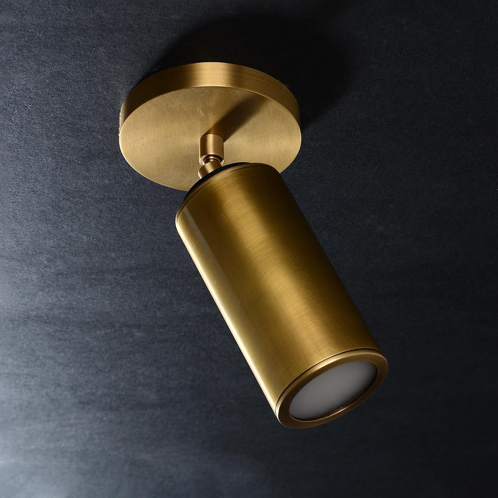 Cameron Adjustable Brass Ceilling Spotlight, Dimmable Directional Brass Wall Lighting Fixtures